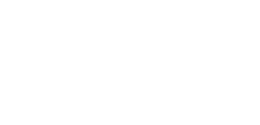 NAK Consulting logo